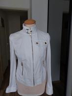 Ralph Lauren jas, Wit, Ophalen of Verzenden, Zo goed als nieuw, Ralph Lauren