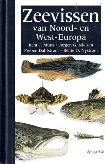 Zeevissen van Noord- en West-Europa   beschikbaar voor biedingen