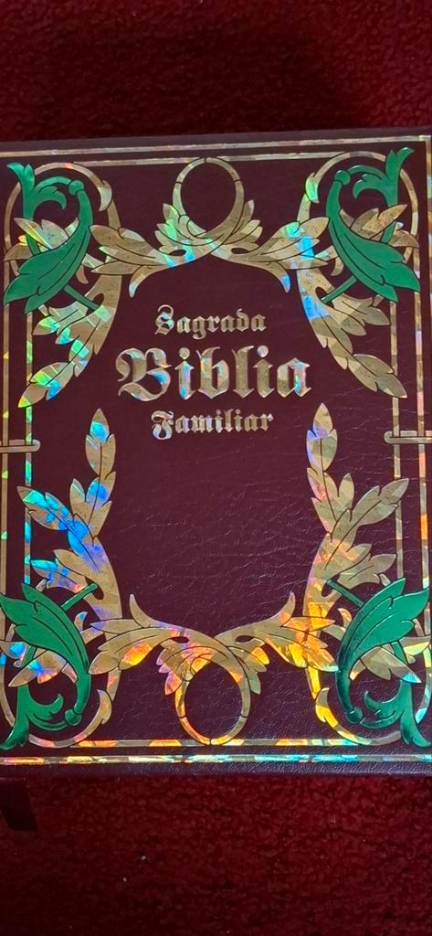 Spaanstalige familie bijbel 1295 pagina s, Boeken, Godsdienst en Theologie, Zo goed als nieuw, Christendom | Katholiek, Ophalen of Verzenden