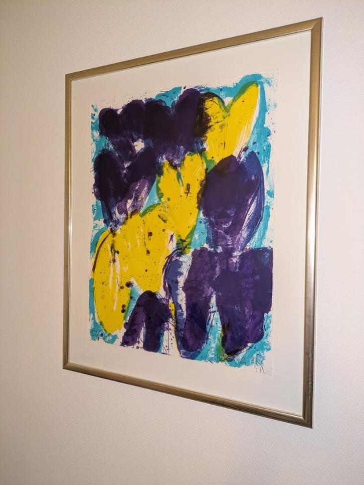 Zgan kleurige Jan Cremer Litho, Antiek en Kunst, Kunst | Litho's en Zeefdrukken, Ophalen of Verzenden