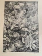 Grote lithos Aart van Dobbenburgh 25 euro per stuk, Ophalen of Verzenden