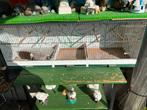 Vogel kooi, Dieren en Toebehoren, Ophalen, Gebruikt, Hout, Vogelkooi