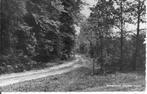 Bosgezicht Gorssel Joppe., Verzamelen, Ansichtkaarten | Nederland, Ophalen of Verzenden, 1960 tot 1980, Gelopen, Gelderland