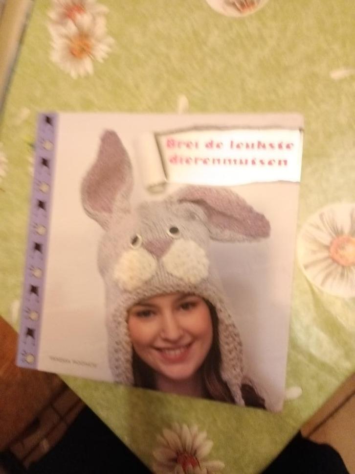 Brei de leukste dierenmutsen. Breien mutsen leeuw kip beer, Boeken, Hobby en Vrije tijd, Zo goed als nieuw, Breien en Haken, Ophalen of Verzenden
