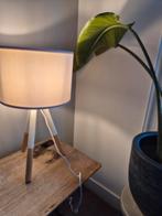 Zuiver lamp, Ophalen, Minder dan 50 cm