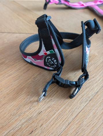 Treponti (xs) beschikbaar voor biedingen