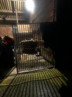 Honden kennel / ren / verblijf, Ophalen, Zo goed als nieuw, 110 cm of meer, 100 cm of meer