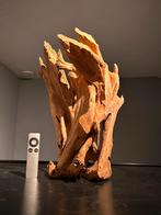 Uniek stuk Driftwood / Kienhout / Spiderwood, Hout Decoratie, Ophalen of Verzenden, Zo goed als nieuw, Plant(en), Steen of Hout