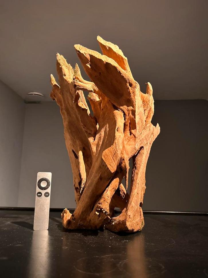 Uniek stuk Driftwood / Kienhout / Spiderwood, Hout Decoratie, Dieren en Toebehoren, Vissen | Aquaria en Toebehoren, Zo goed als nieuw