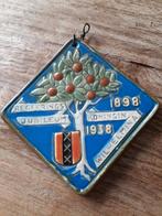 tegel "regeeringsjubileum Koningin Wilhelmina” 1898 - 1938, Verzamelen, Ophalen, Gebruikt