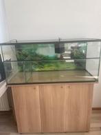 Aquarium + kast 100x30cm, Ophalen, Zo goed als nieuw