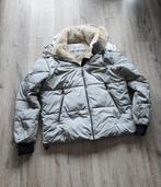 Dames winterjas Giacomo The Jacket, Kleding | Dames, Jassen | Winter, Maat 42/44 (L), Nieuw, Ophalen of Verzenden, Grijs