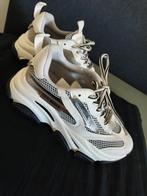 Steve Madden White Possession Maat 39., Kleding | Dames, Schoenen, Ophalen, Zo goed als nieuw, Wit, Sneakers of Gympen