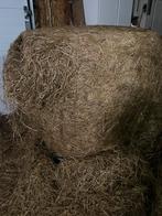 Grote balen voordroog, 7 stuks, Dieren en Toebehoren, Ophalen of Verzenden, Vee