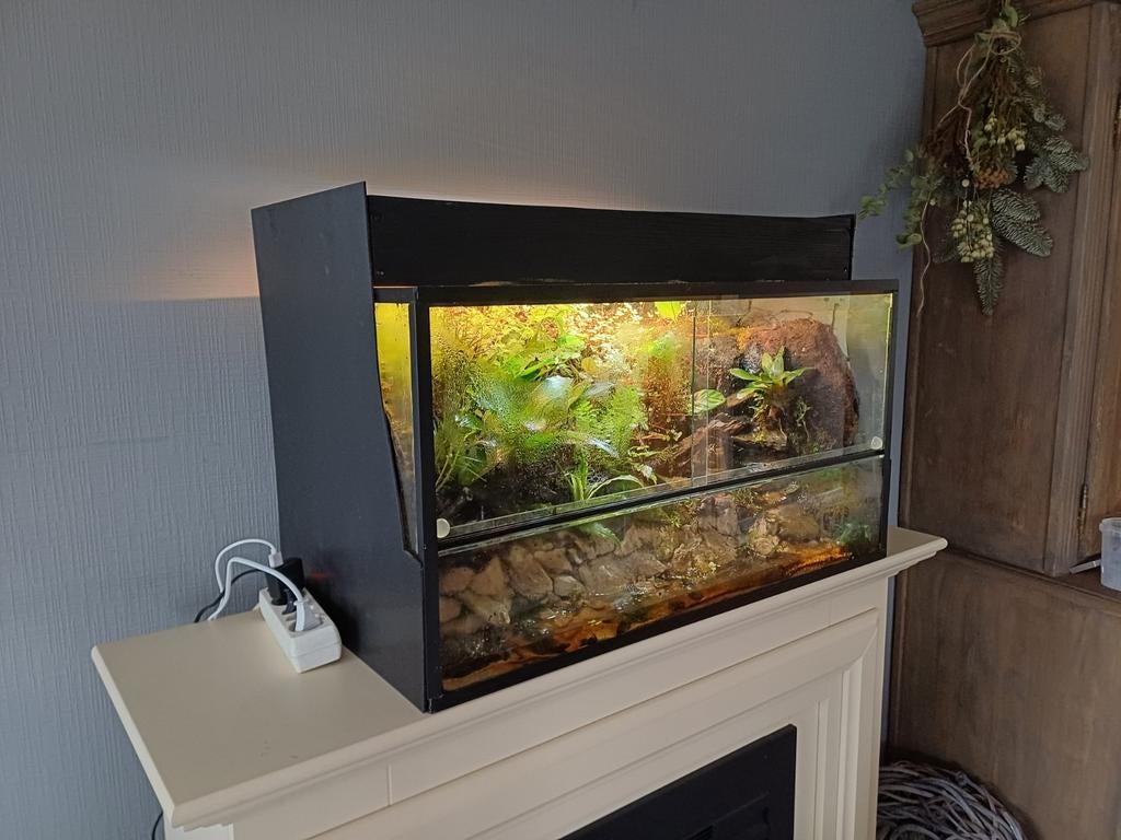 Terrarium met vampierkrab!!, Dieren en Toebehoren, Reptielen en Amfibieën | Toebehoren, Ophalen