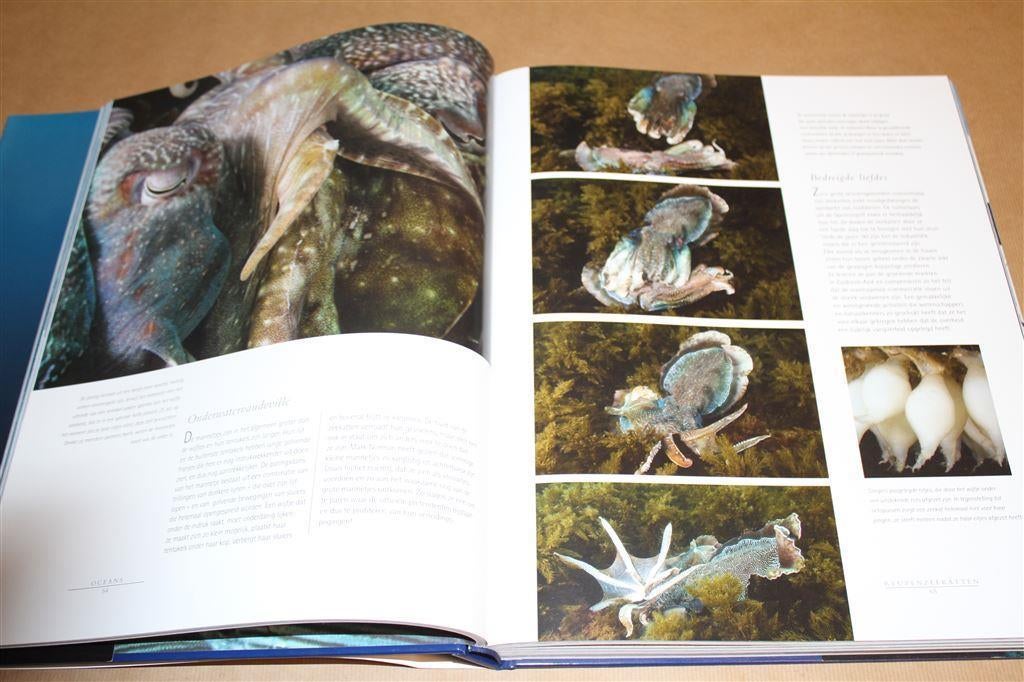 Oceans. Groot fotoboek over zeeën & dieren., Boeken, Natuur, Ophalen of Verzenden, Zo goed als nieuw, Natuur algemeen