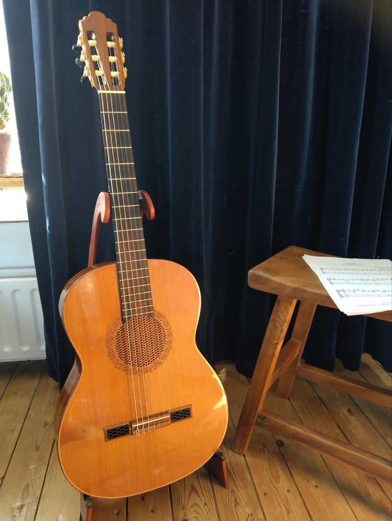 Bijzondere klassieke gitaar., Muziek en Instrumenten, Snaarinstrumenten | Gitaren | Akoestisch, Ophalen, Gebruikt, Klassieke of Spaanse gitaar