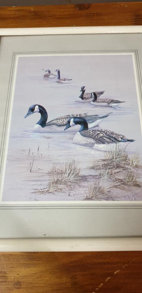 schilderij prentenmet wilde ganzen, Ophalen of Verzenden, 'T Olde Gre-j, Info@toldegrej.nl, Endepoelstraat 20f Didam