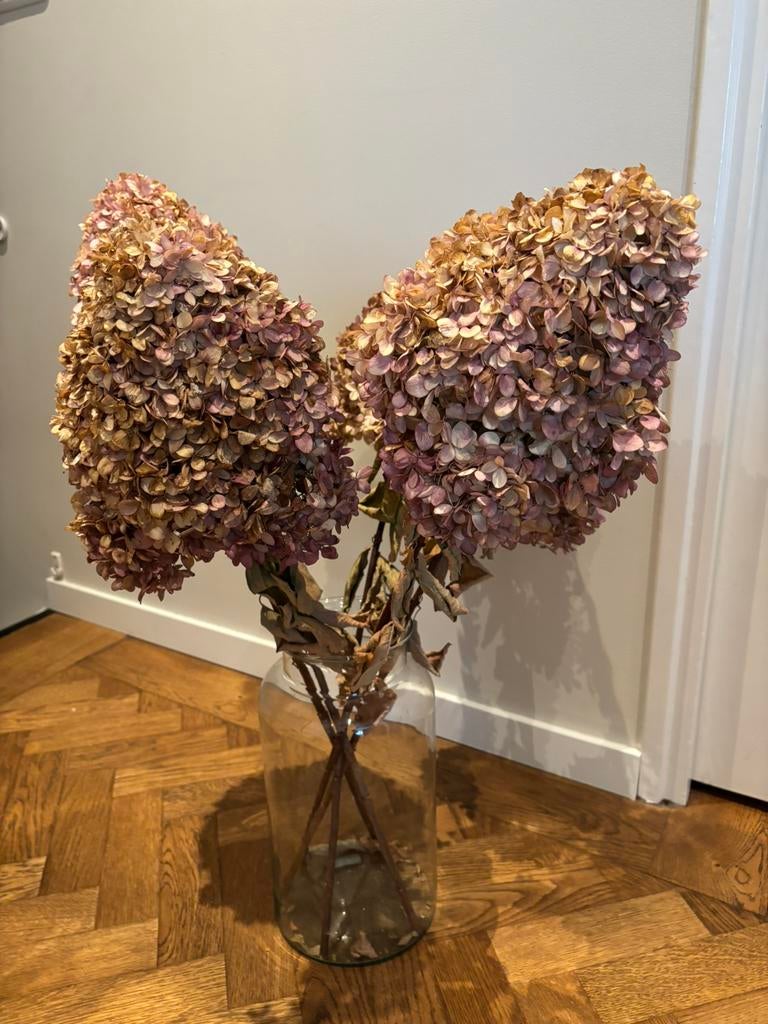 Droogbloemen, Huis en Inrichting, Woonaccessoires | Droogbloemen, Ophalen, Zo goed als nieuw