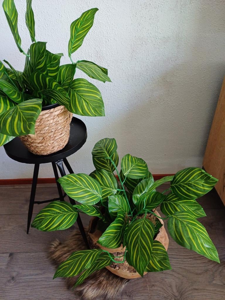 2x prachtige kunstplanten nieuw, Ophalen of Verzenden, Nieuw