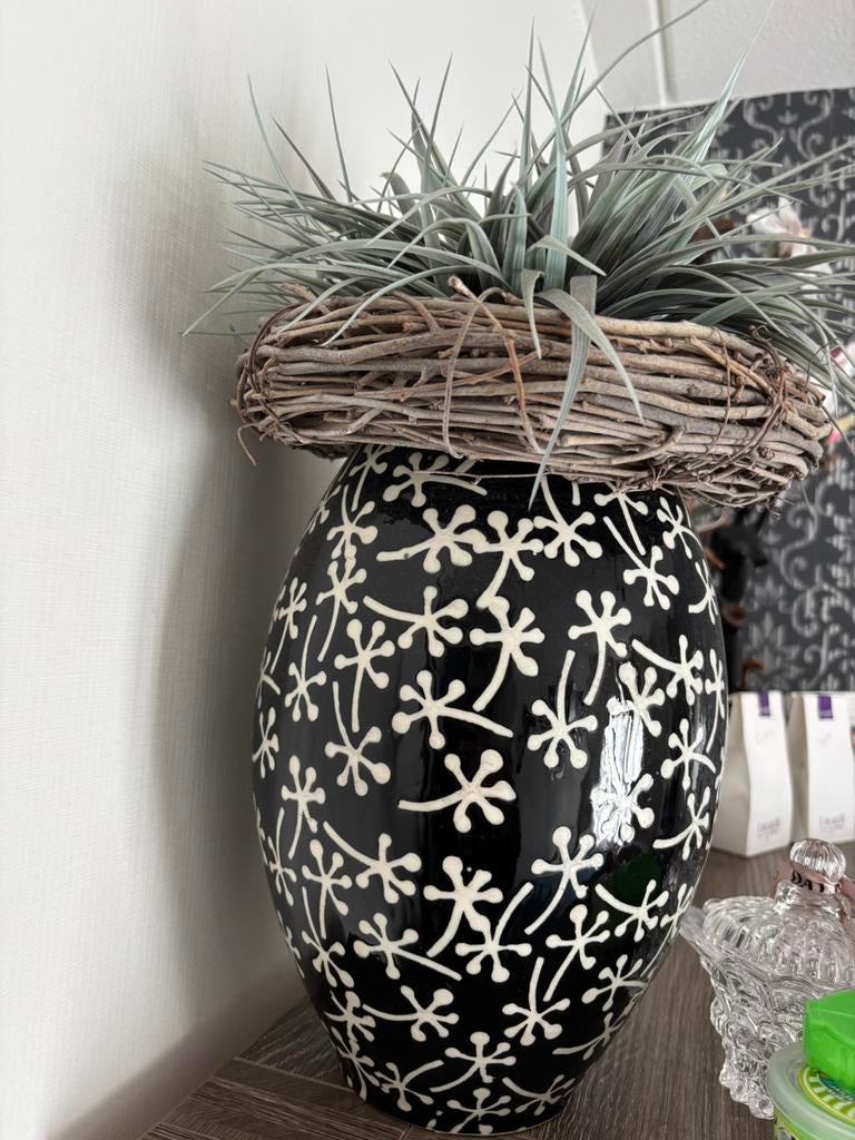 Planten pot, Ophalen, Gebruikt