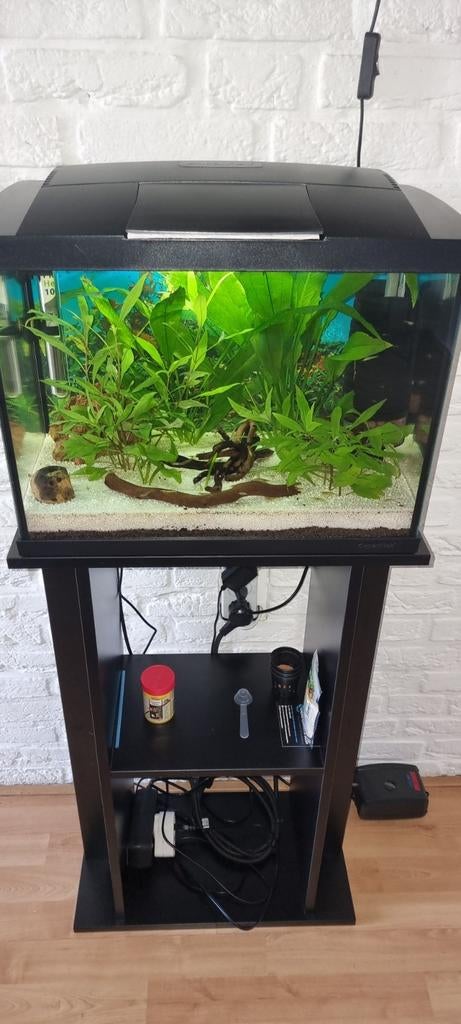 Aquarium, Ophalen, Zo goed als nieuw, Gevuld zoetwateraquarium