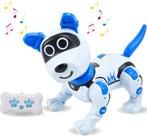 Robo Raff robot hond, Ophalen of Verzenden, Zo goed als nieuw, Jongen of Meisje