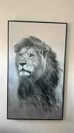 Schilderij leeuw zwart wit, Ophalen of Verzenden
