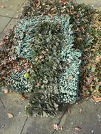 Tuinscherm Action met nepblad groen - 5 stuks, Ophalen of Verzenden, Gebruikt, Kunststof, Minder dan 100 cm