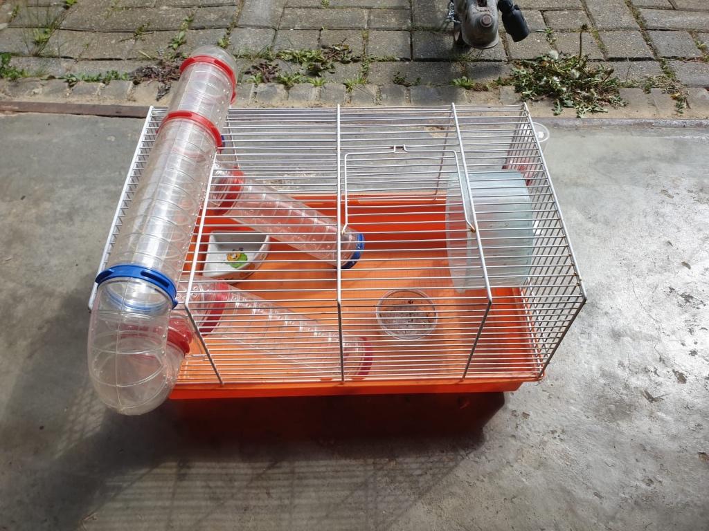 Hamsterkooi, Kooi, Gebruikt, Minder dan 75 cm, Muis
