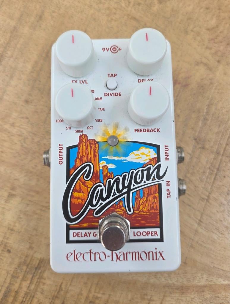 EHX Canyon Delay & Looper Pedaal, Ophalen of Verzenden, Zo goed als nieuw, Delay of Echo
