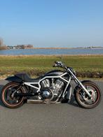 Harley Davidson VRSCA V-Rod Anniversary 240, Motoren, Motoren | Harley-Davidson, Sportuitlaat, Chopper, Particulier, 1131 cc