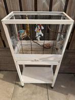 Vogel kooi, Ophalen, Nieuw