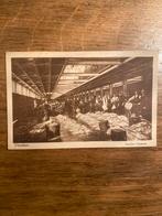 Oude Ansichtkaart IJmuiden Interieur Vischhal, Verzenden, Voor 1920, Gelopen, Noord-Holland