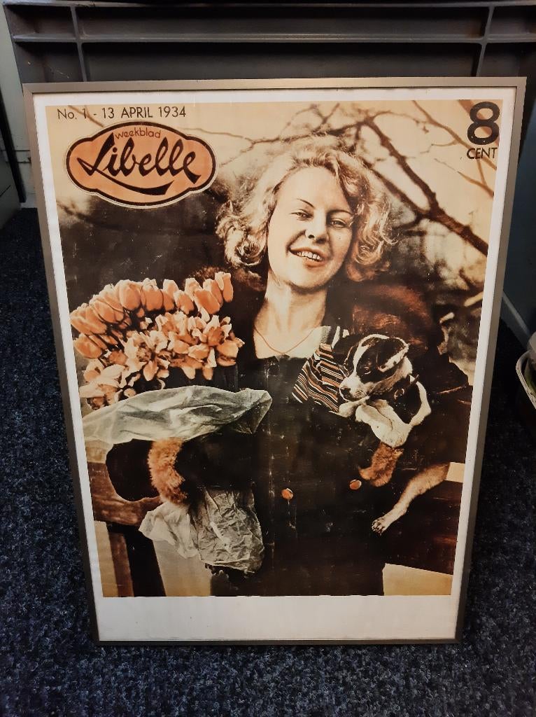 libelle poster, Rechthoekig Staand, Met lijst, Ophalen of Verzenden, Zo goed als nieuw