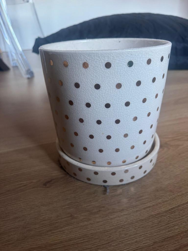 Bloempot creme met gouden stippels, Tuin en Terras, Bloempotten, Ophalen, Gebruikt, Rond, Binnen