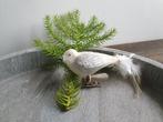 Vintage kerstbal vogeltje op clip 198, *, Gebruikt, *, Ophalen of Verzenden