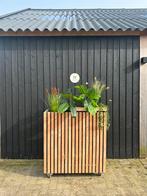Douglas roomdivider met plantenbak  - diverse maten mogelijk, Ophalen, Rond, Nieuw, Tuin