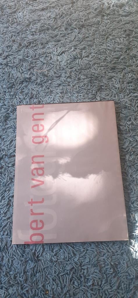 Boek: bert van gent, Ophalen of Verzenden