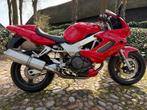 Honda VTR 1000 Firestorm - Klaar voor het seizoen!, 2 cilinders, Sportuitlaat, Motorrijbewijs A, Super Sport