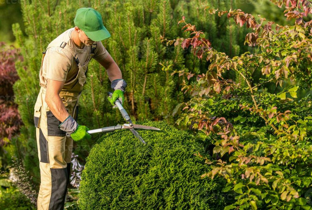 Tuinman beschikbaar –Tuin schoonmaken / Gras maaien, Ophalen of Verzenden