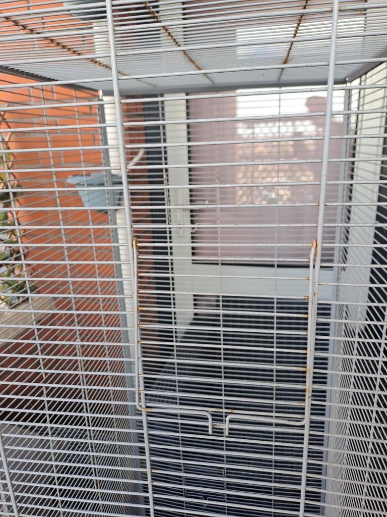 Nette voliere, Dieren en Toebehoren, Vogels | Hokken en Kooien, Ophalen, Metaal, Volière