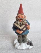 David de kabouter / Rien Poortvliet, Verzamelen, Ophalen of Verzenden, Gebruikt, Overige typen