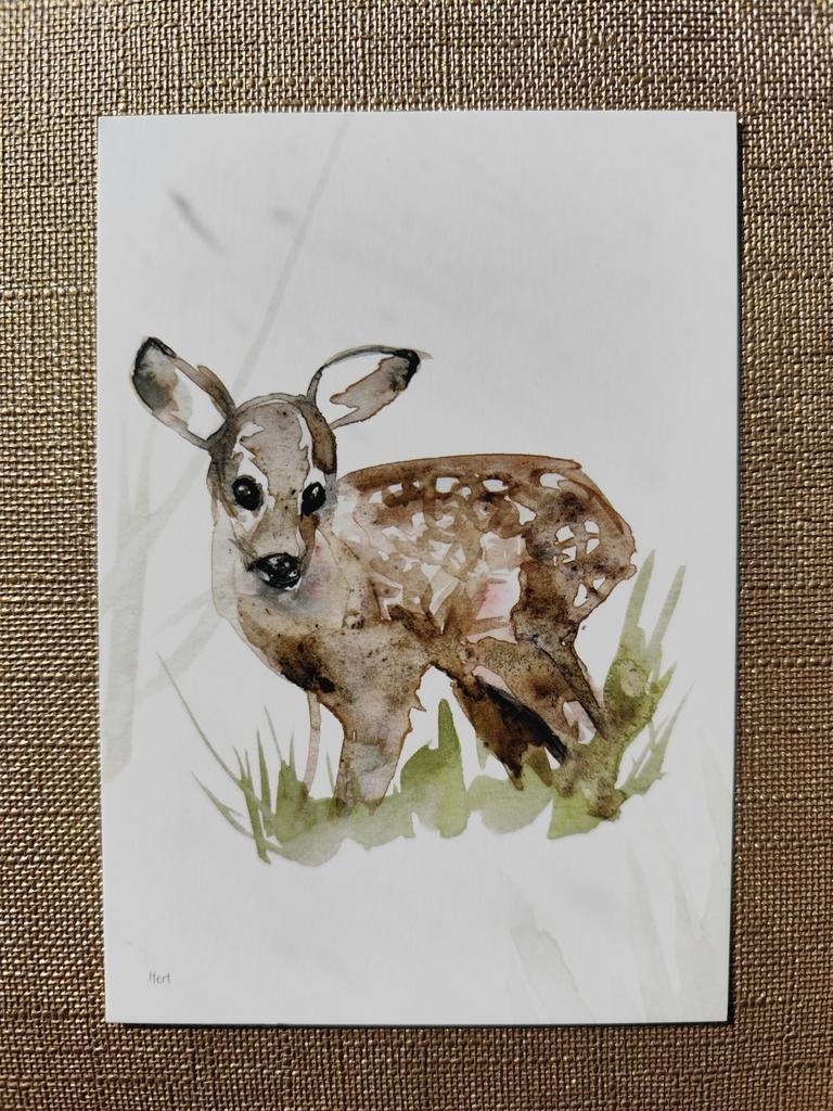 Div. Flora en fauna waterverf ansichtkaarten ongelopen, Ophalen of Verzenden, 1980 tot heden