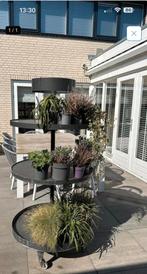 Hele grote planten etagère uit tuincentrum, Ophalen of Verzenden, Overige soorten, Volle zon