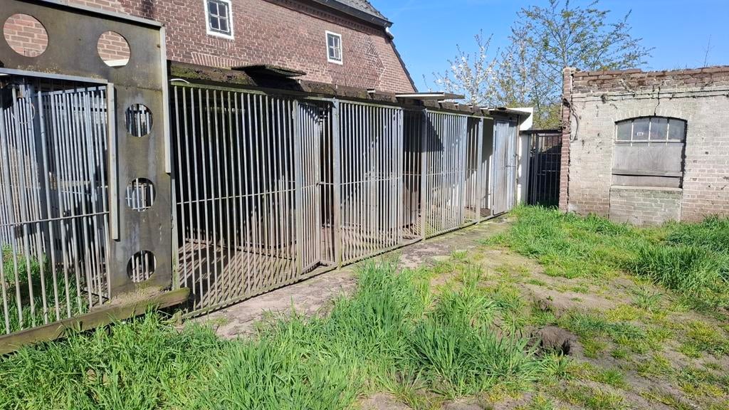 Complete hondenkennel! Kennenpanelen, wanden, dak, Ophalen, 110 cm of meer, 100 cm of meer