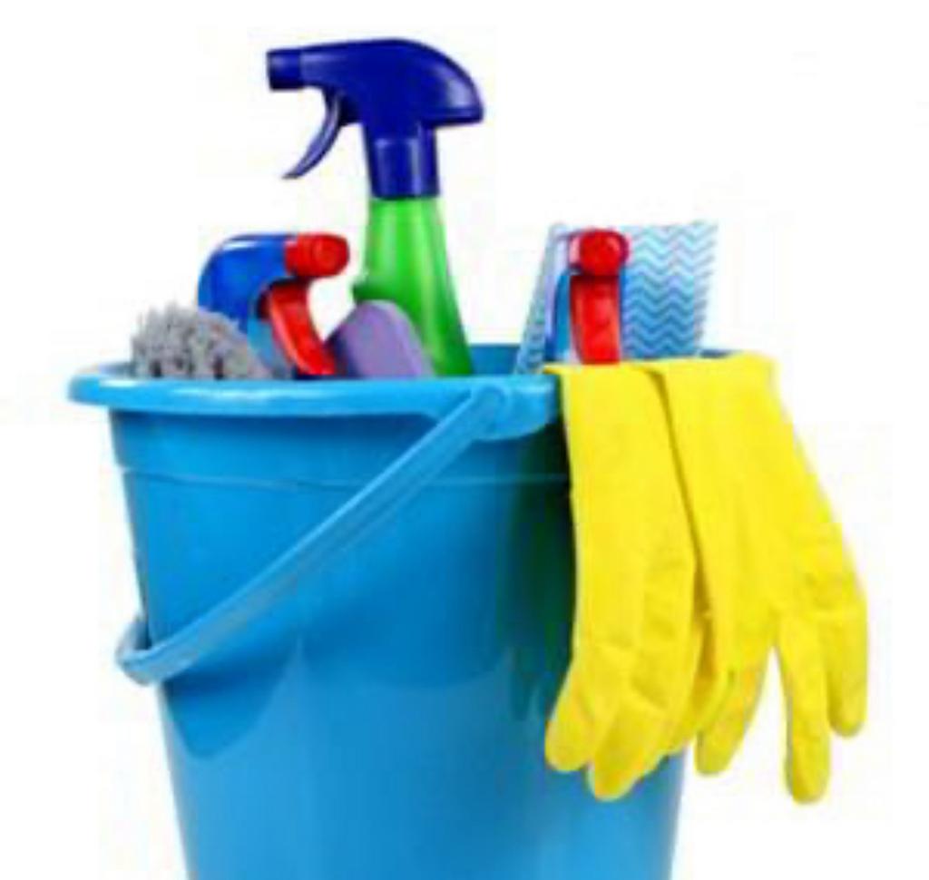 Huishoudelijk hulp, Overige niveaus, Overige vormen