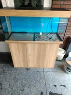 Leuke aquarium, Ophalen, Gebruikt, Leeg aquarium