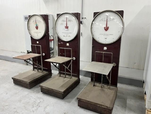 Klokweegschaal ALFRA 3x, Witgoed en Apparatuur, Weegschalen, Ophalen, Gebruikt, Analoog, 50 tot 100 kg