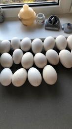 Ganzeneieren, Ophalen, Zo goed als nieuw